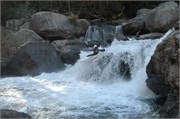 Terran Green Narrows_8
